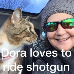 Meet your Posher, Jodie